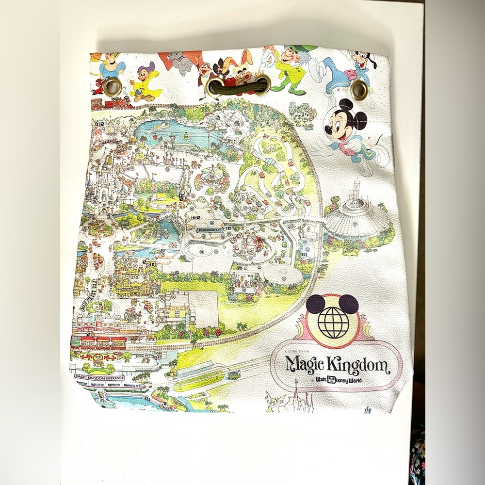 Disney World Magic Kingdom bag